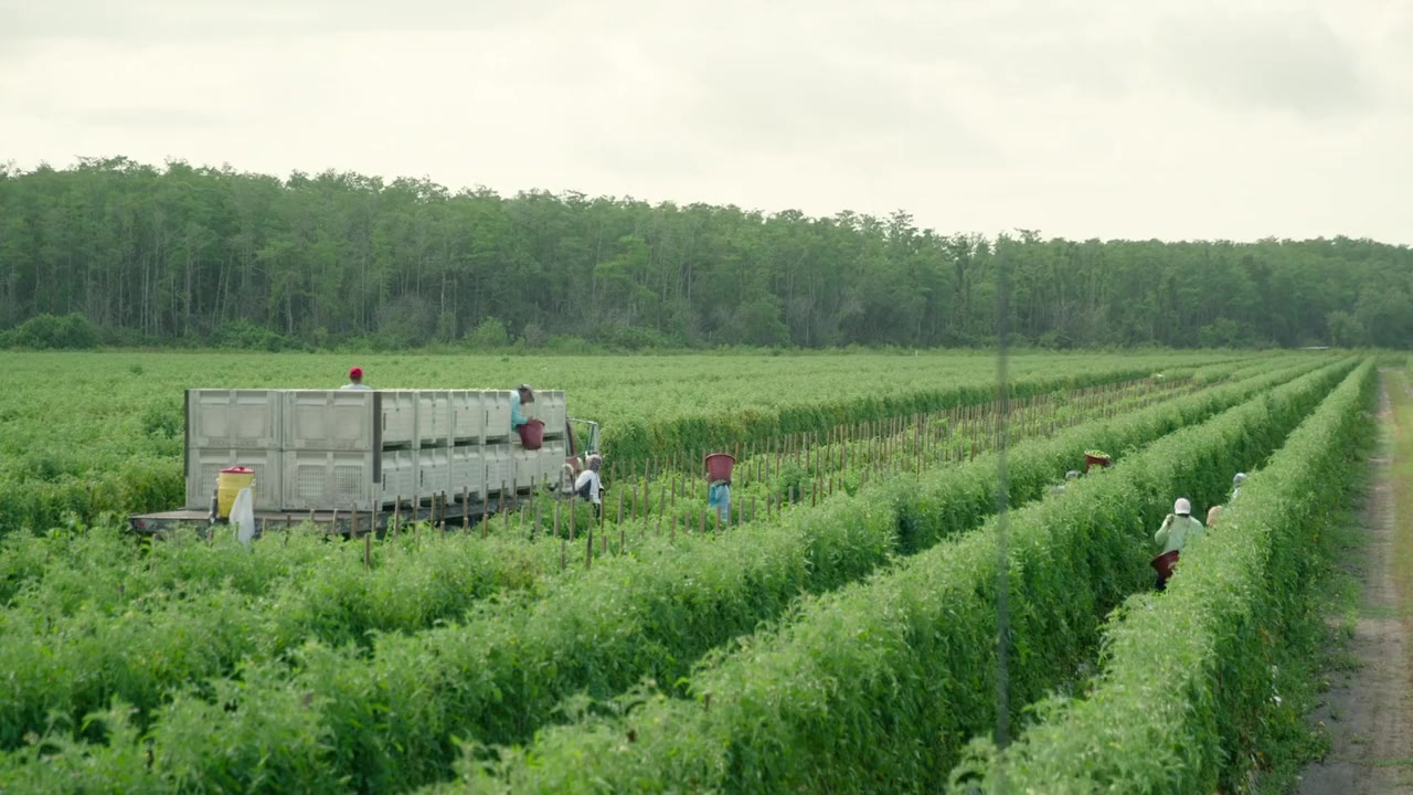 Food, Inc. 2 screenshot 1