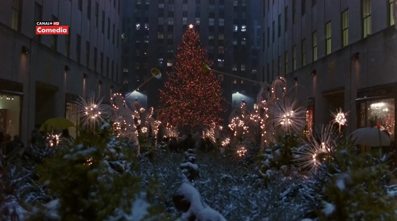 Fools Rush In screenshot 2