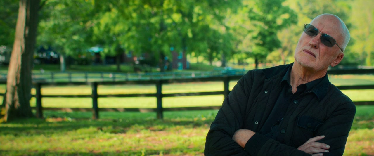For King + Country: No Turning Back screenshot 2