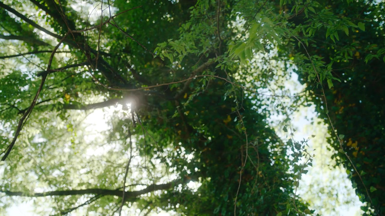 For Love & Country screenshot 1