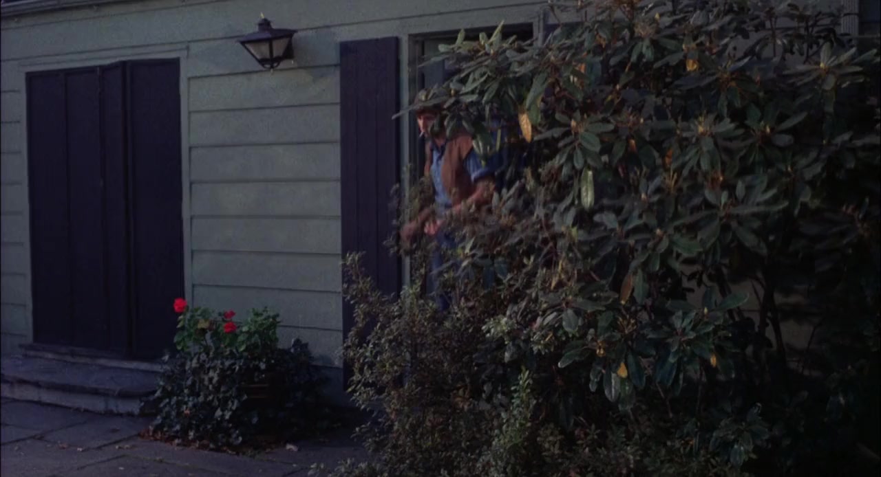 For Love of Ivy screenshot 3