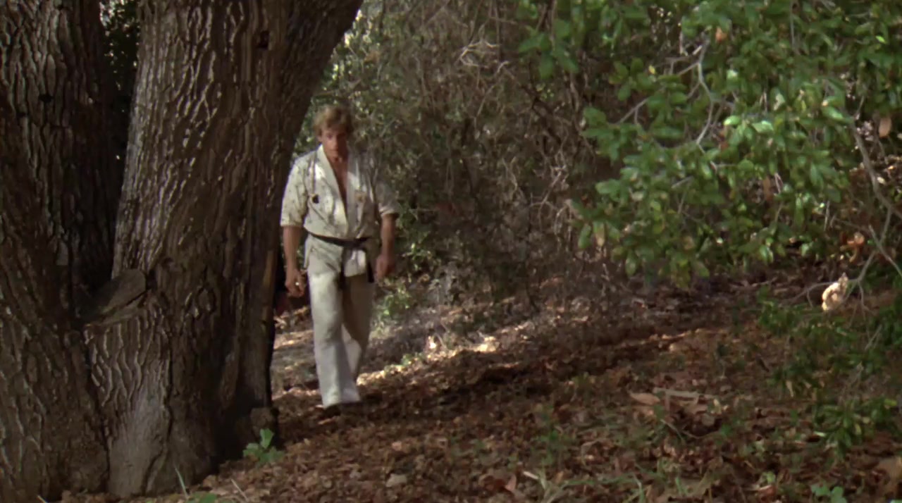 Force: Five screenshot 1