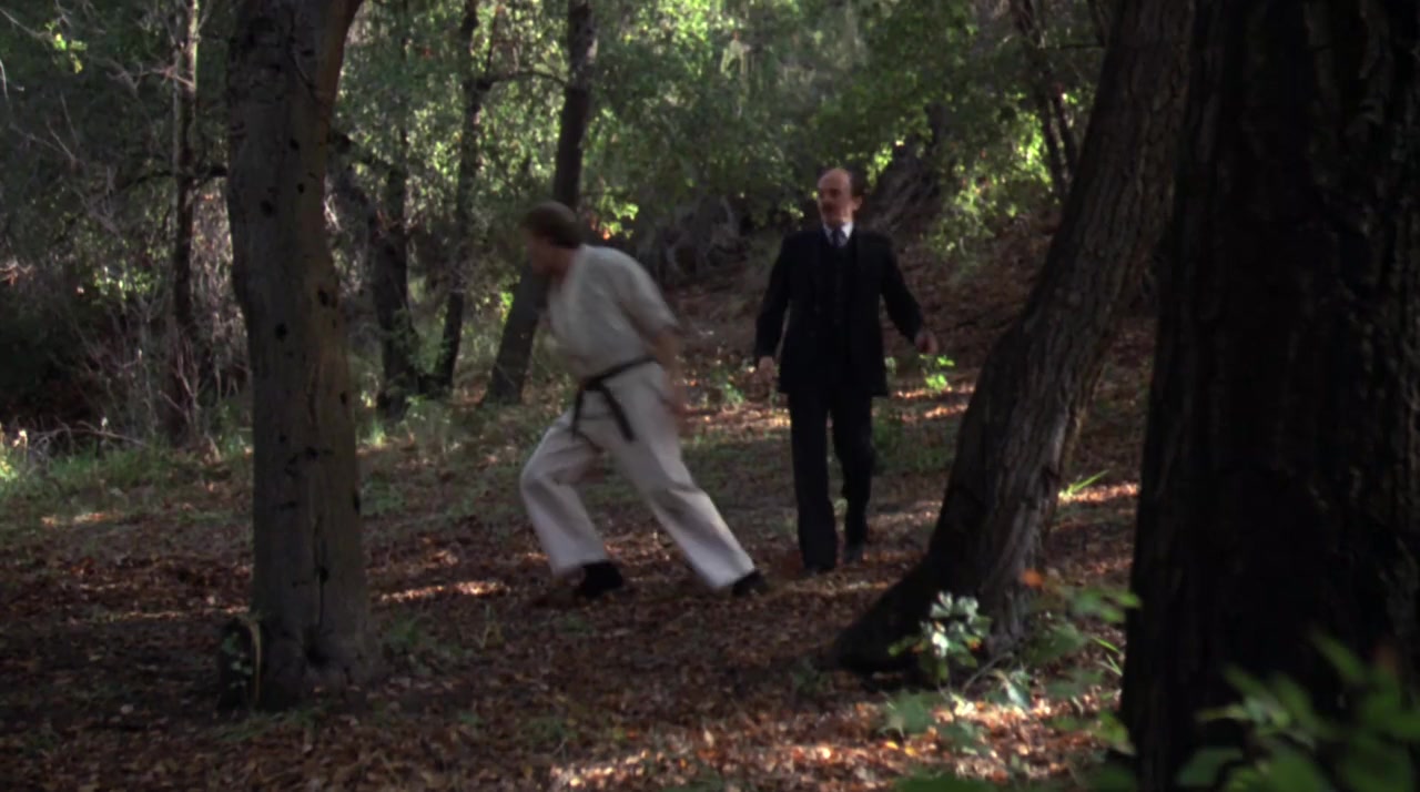Force: Five screenshot 2