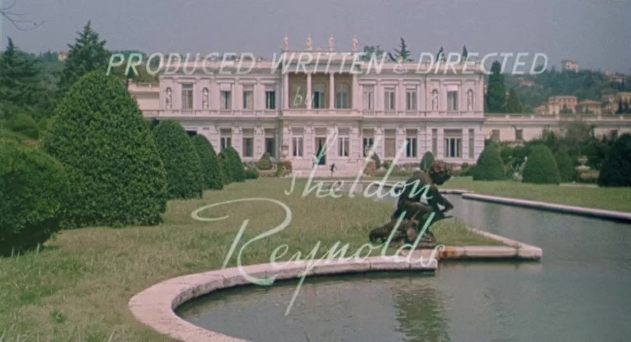 Foreign Intrigue screenshot 3