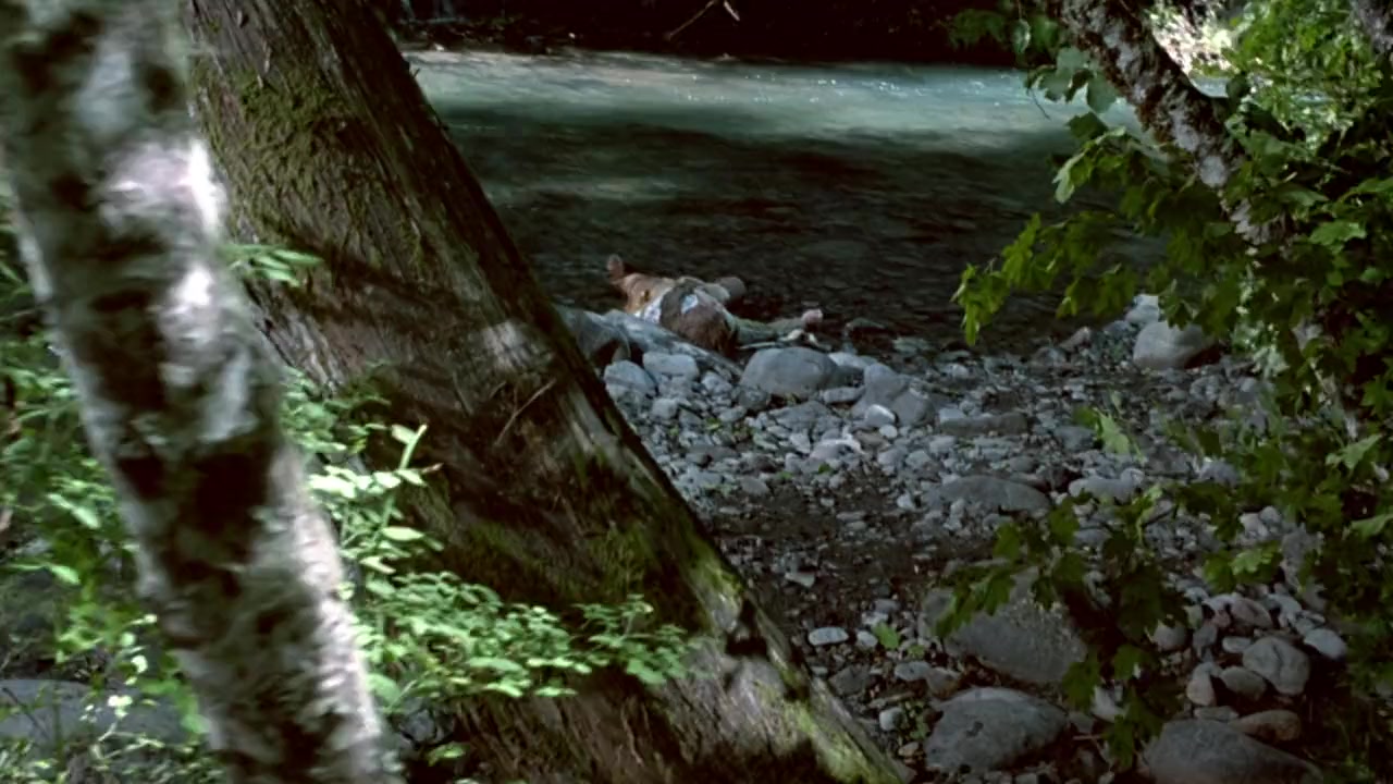 Forest Warrior screenshot 1
