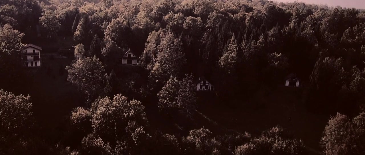 Foreseen screenshot 1