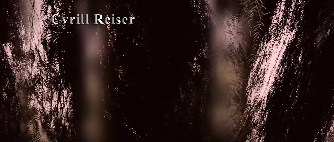 Foreseen screenshot 3