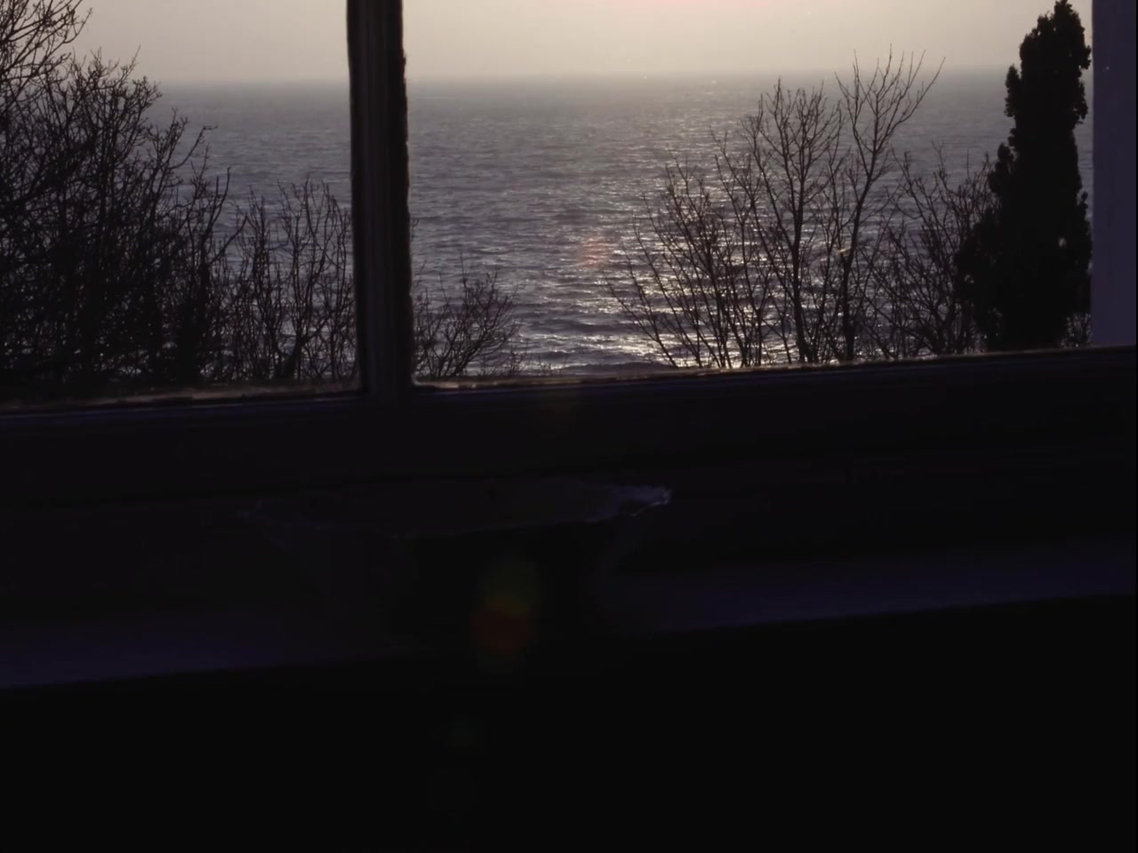 Forever Tomorrow screenshot 2