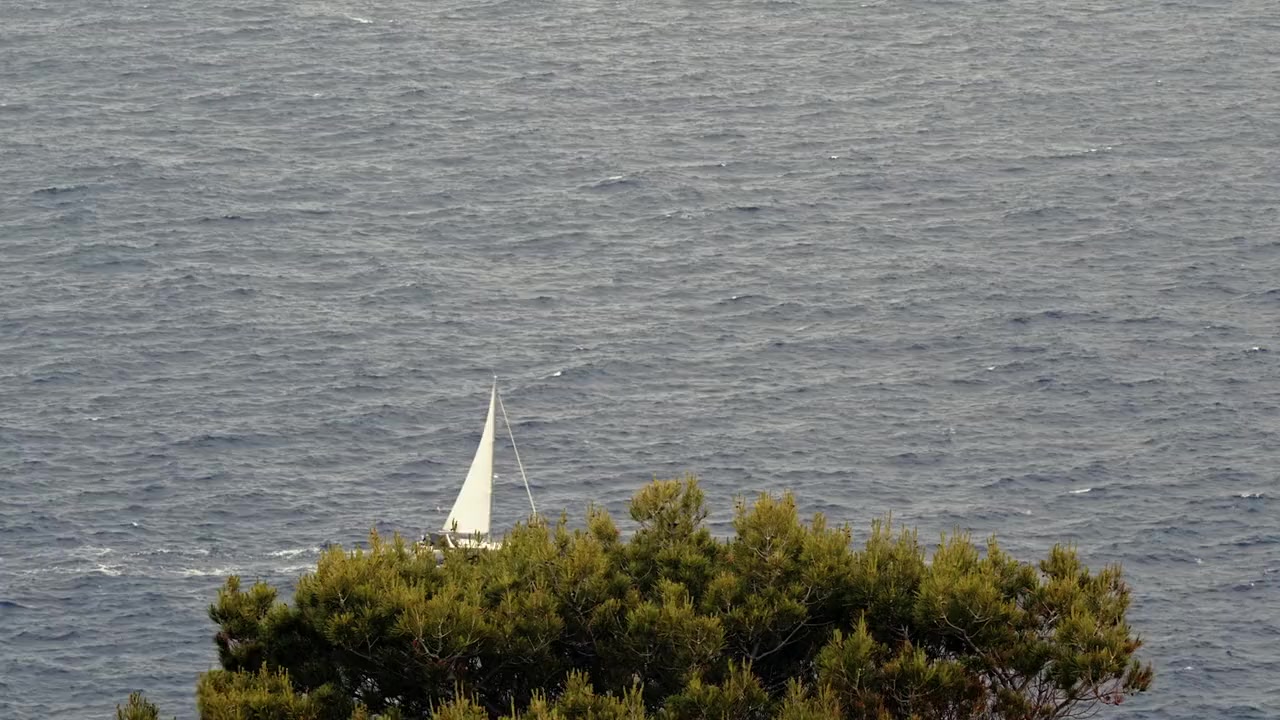 Formentor, el mar de las palabras screenshot 3
