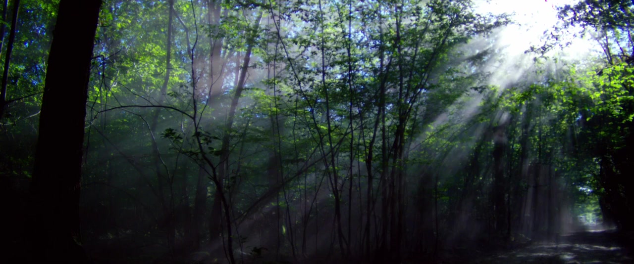 Fornacis screenshot 1
