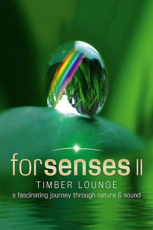 Forsenses II: Timber Lounge (2011) poster