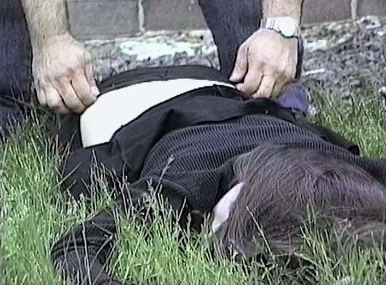 Fatal Delusion screenshot 3