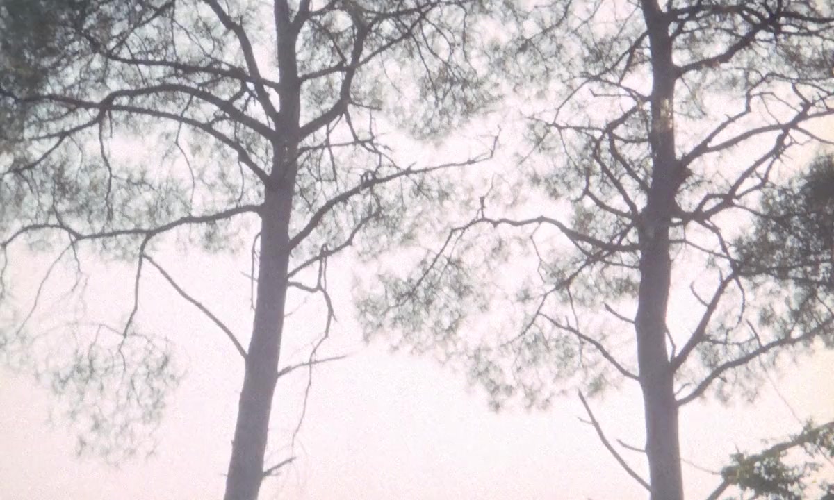 Faustine et le bel été screenshot 3