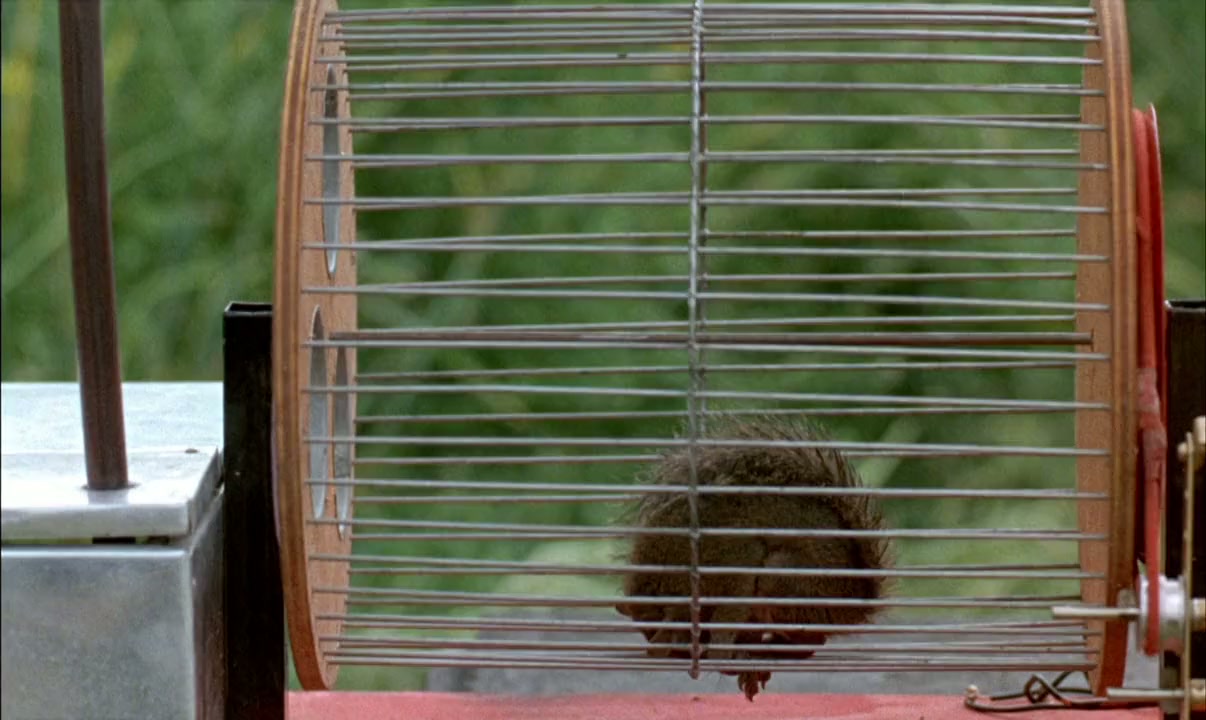 Faut pas prendre les enfants du bon Dieu pour des canards sauvages screenshot 2