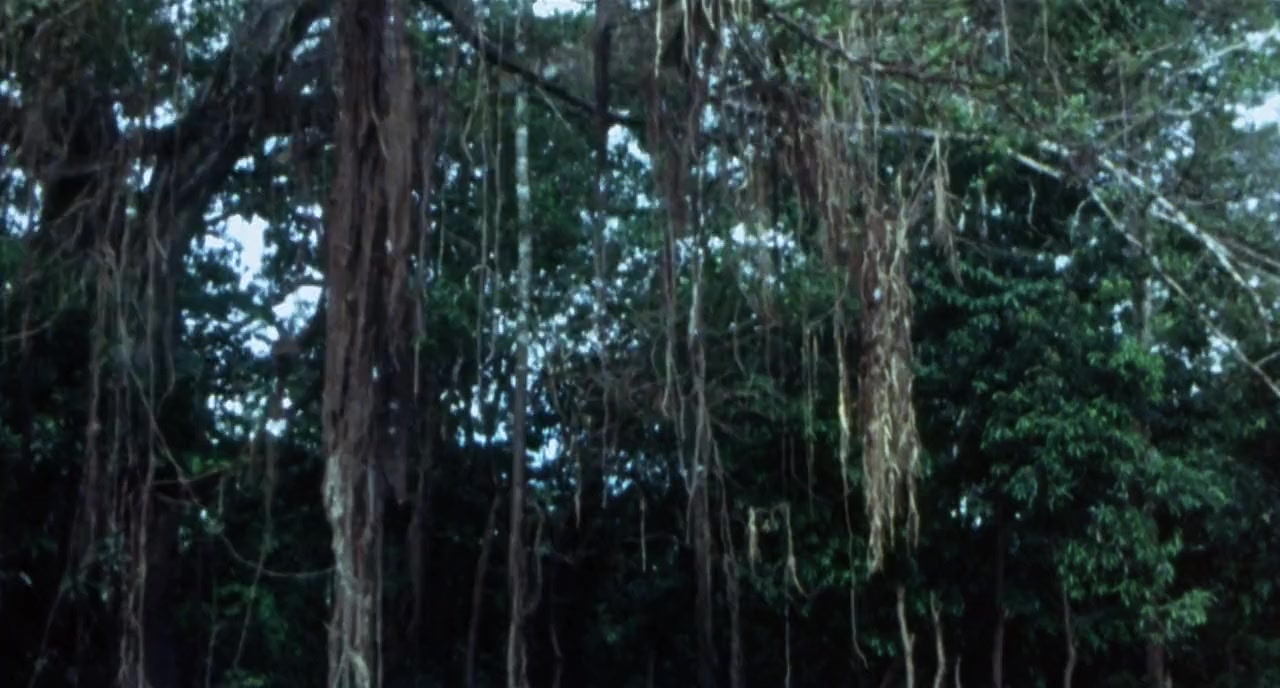 Faces of Death screenshot 2