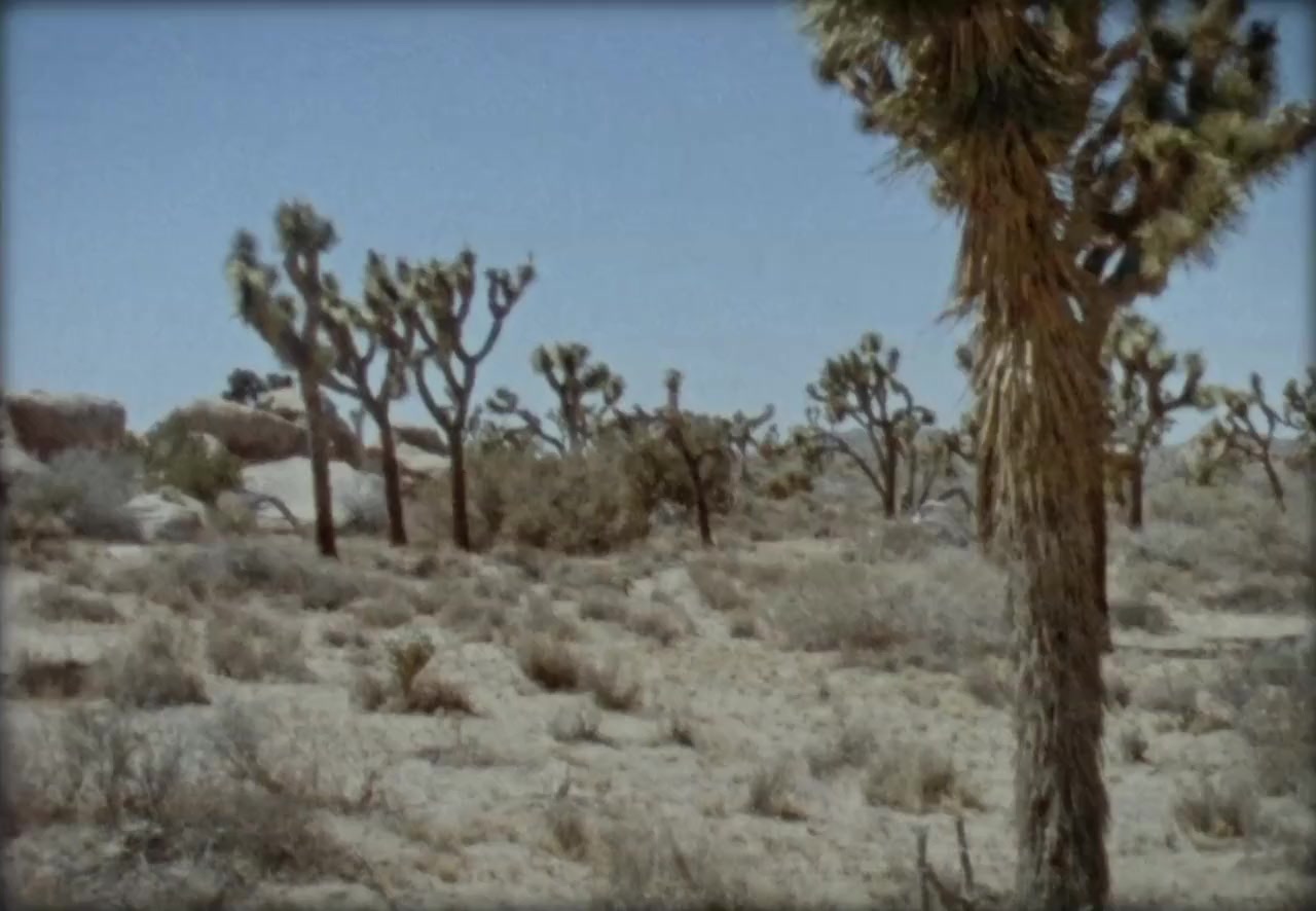 Fade Into Nothing screenshot 2
