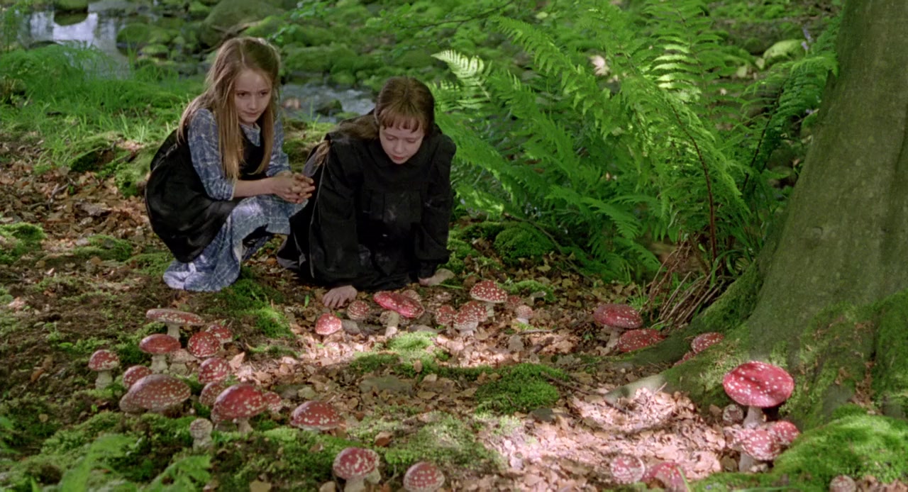 FairyTale: A True Story screenshot 3