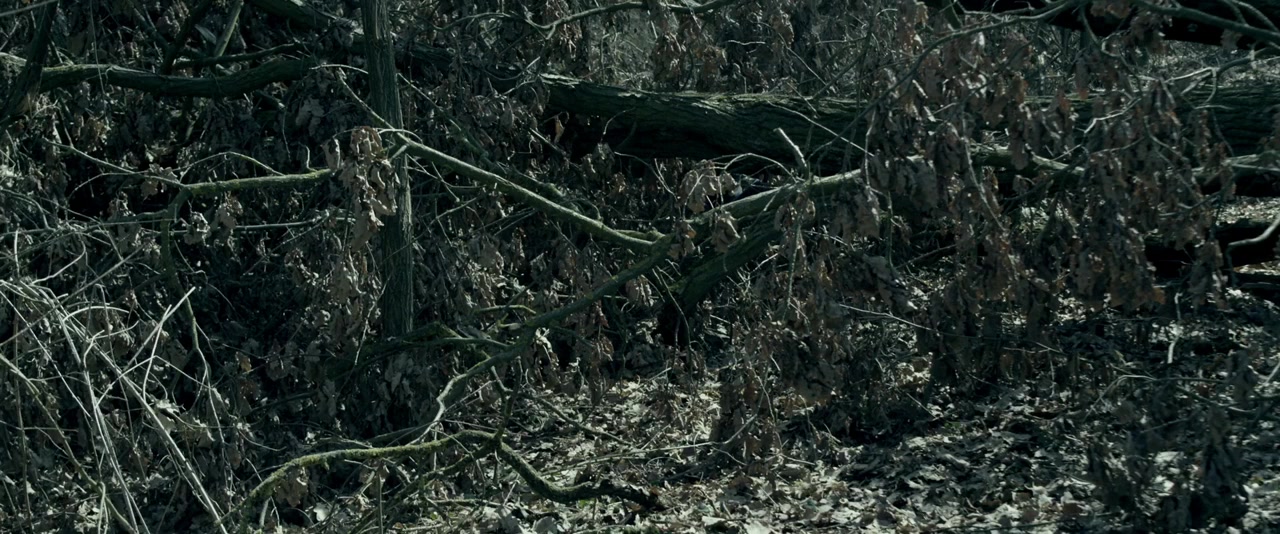 Fallen screenshot 1