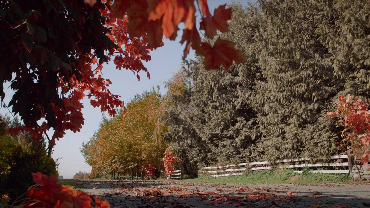 Falling for You screenshot 1