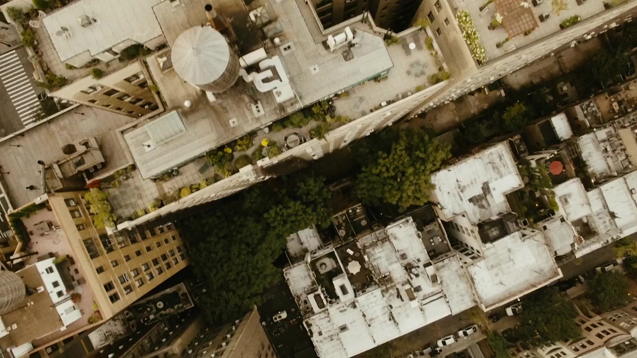 False Witness screenshot 1