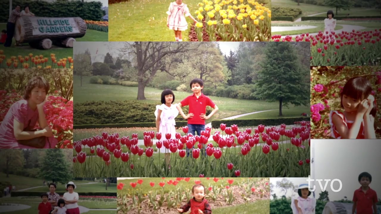 Family Camera screenshot 2