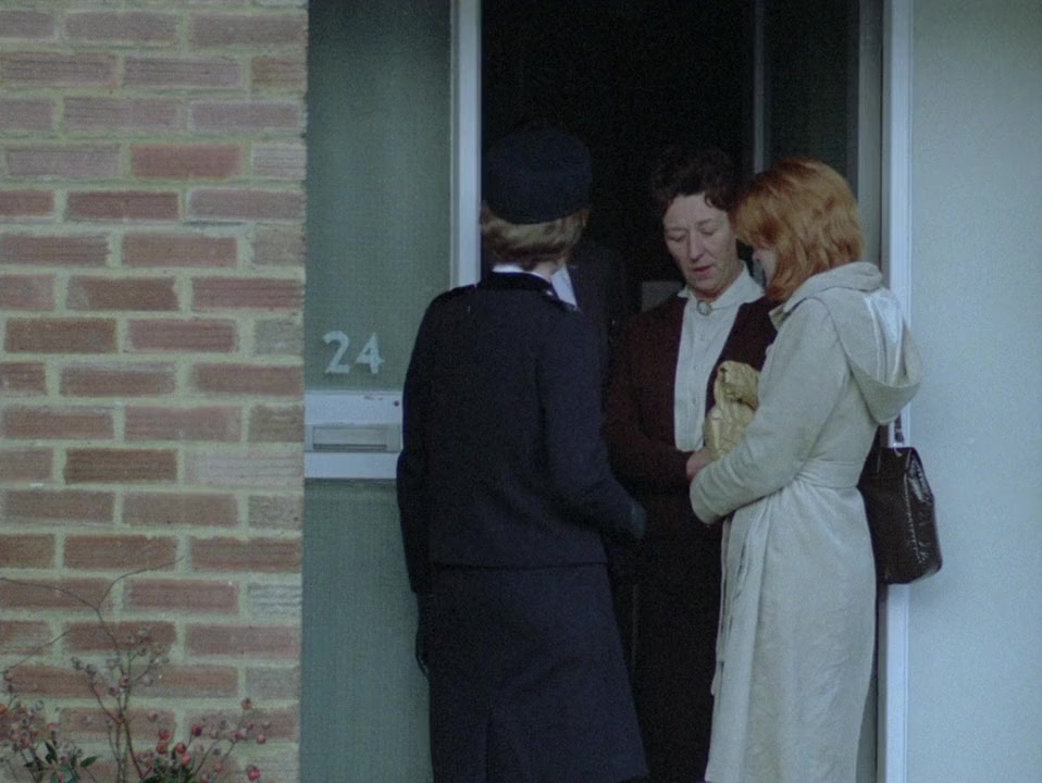 Family Life screenshot 3