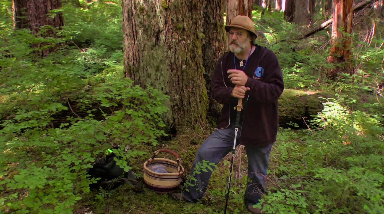 Fantastic Fungi screenshot 2