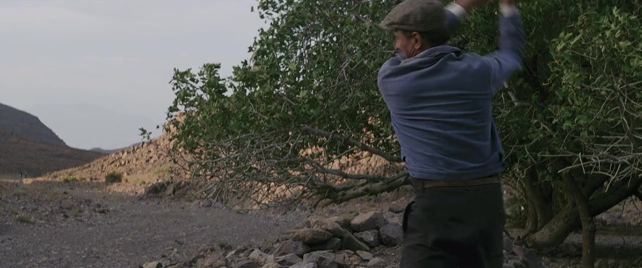 Loin des hommes screenshot 3
