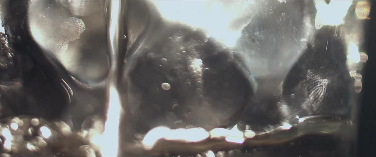 Far from the Apple Tree screenshot 2