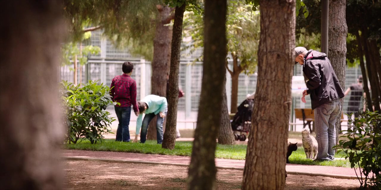 Faruk screenshot 1