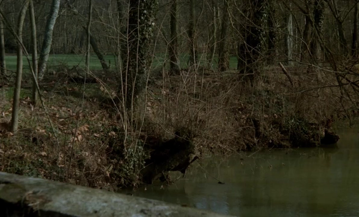 Fascination screenshot 1