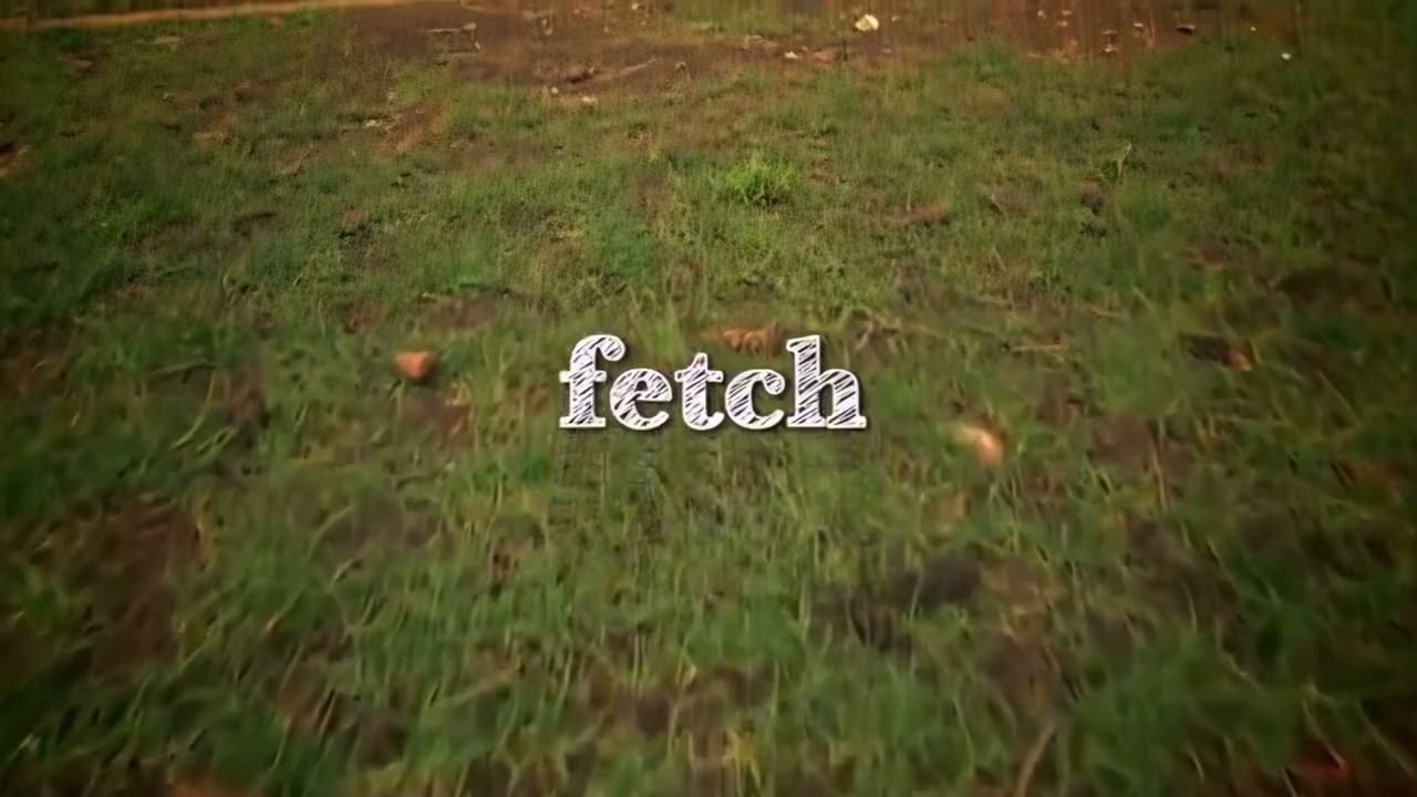 Fetch screenshot 1