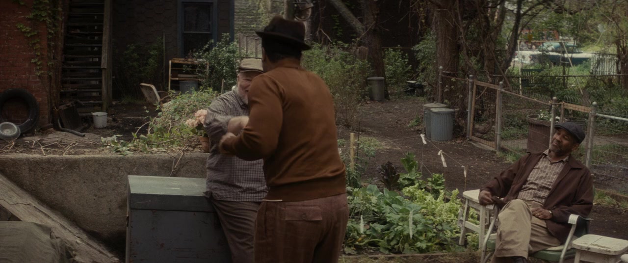 Fences screenshot 1