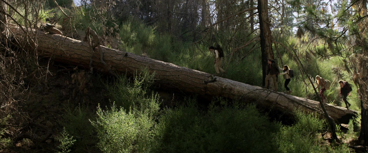 Feral screenshot 1
