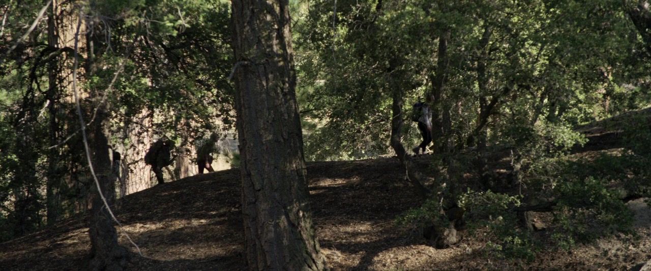 Feral screenshot 2