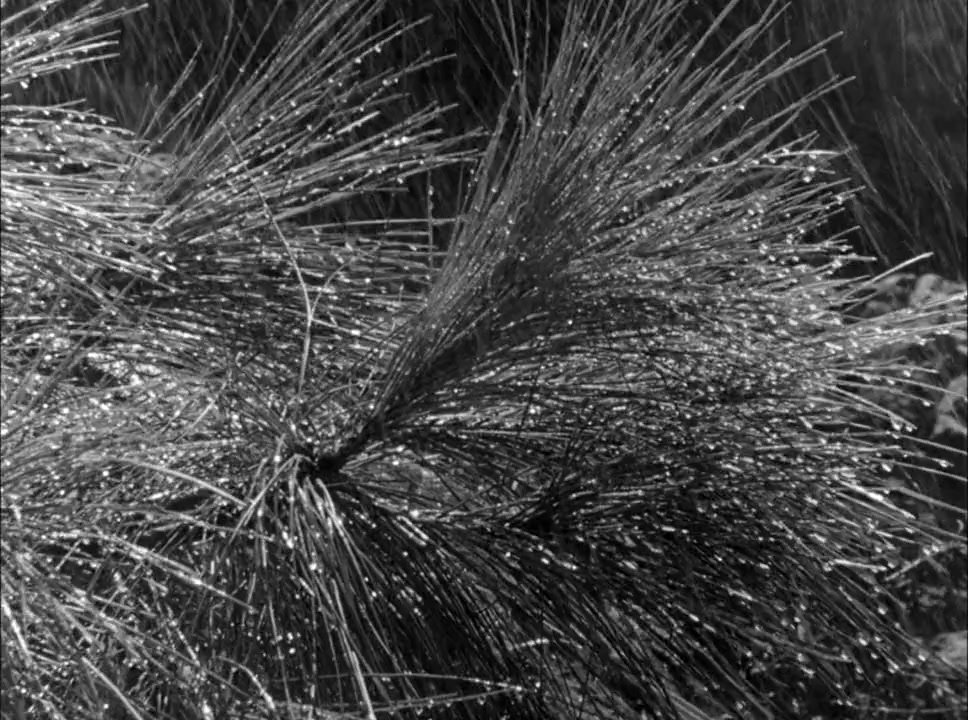 Five screenshot 1
