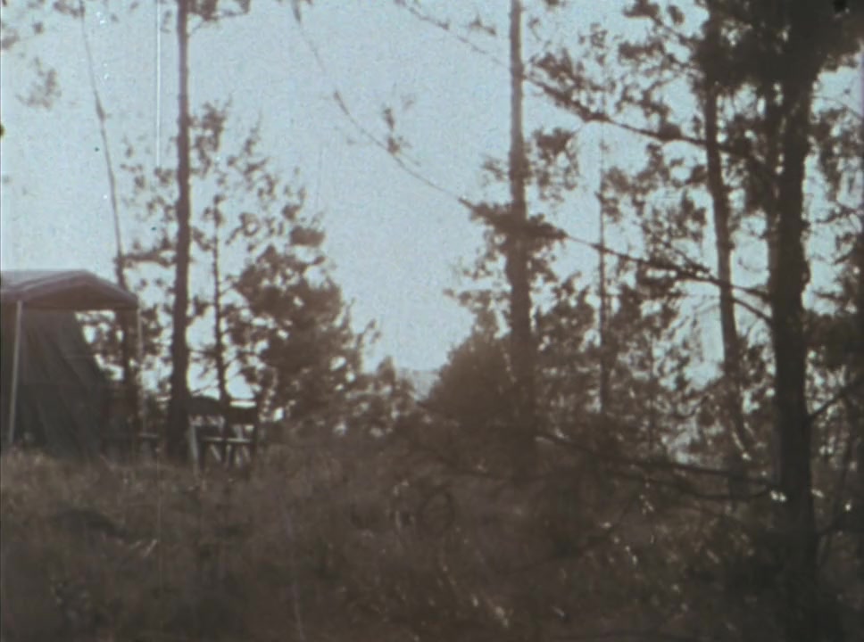 Fidel screenshot 2