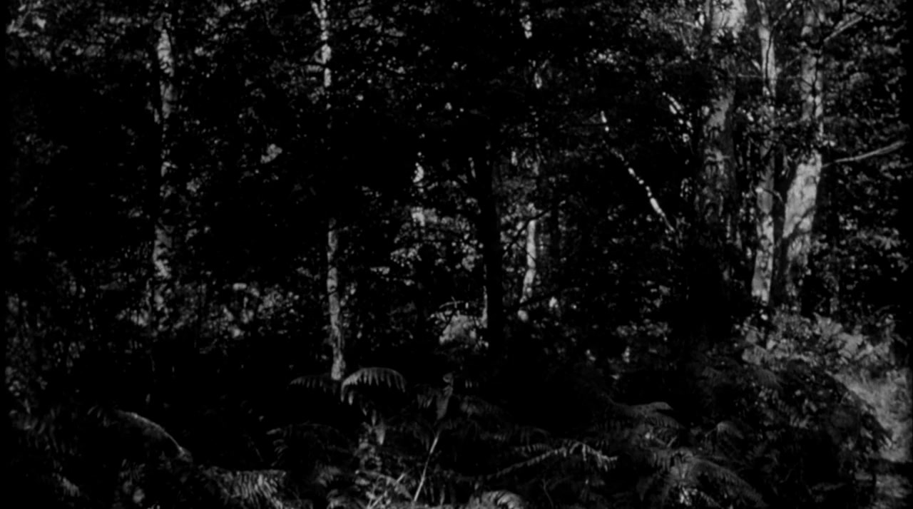 Fiend Without a Face screenshot 3