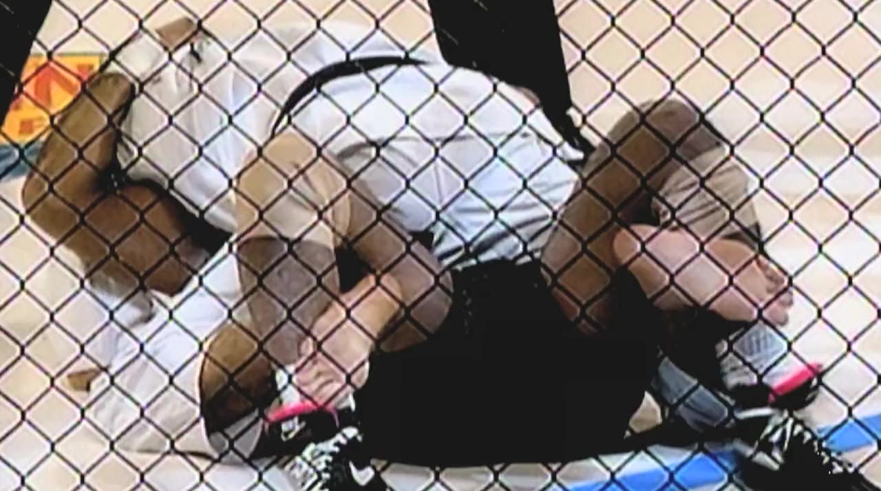 Fighting for a Generation: 20 Years of the UFC screenshot 1