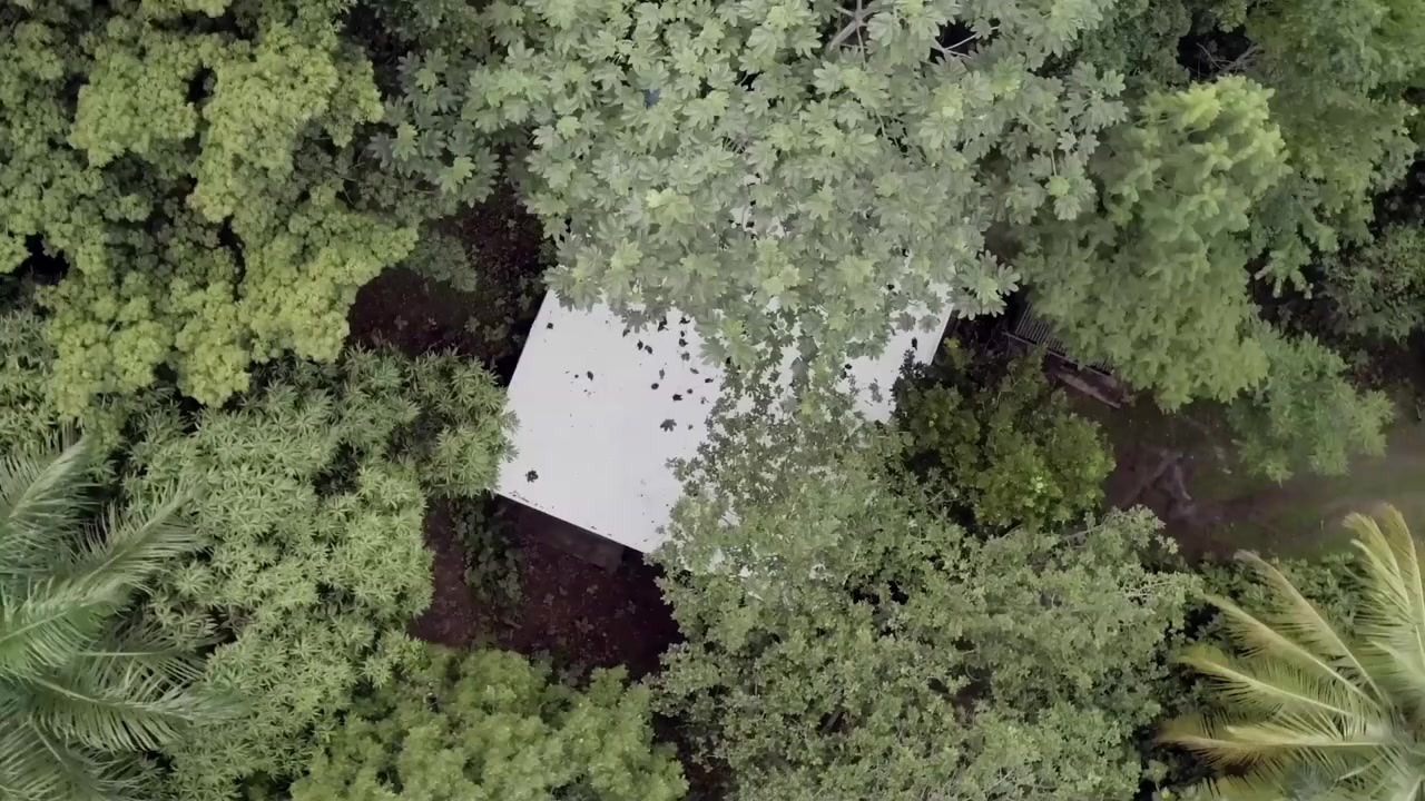 Filiberto screenshot 1