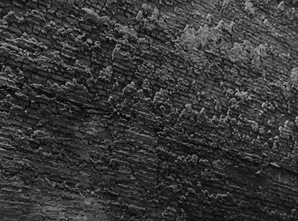 Film screenshot 1