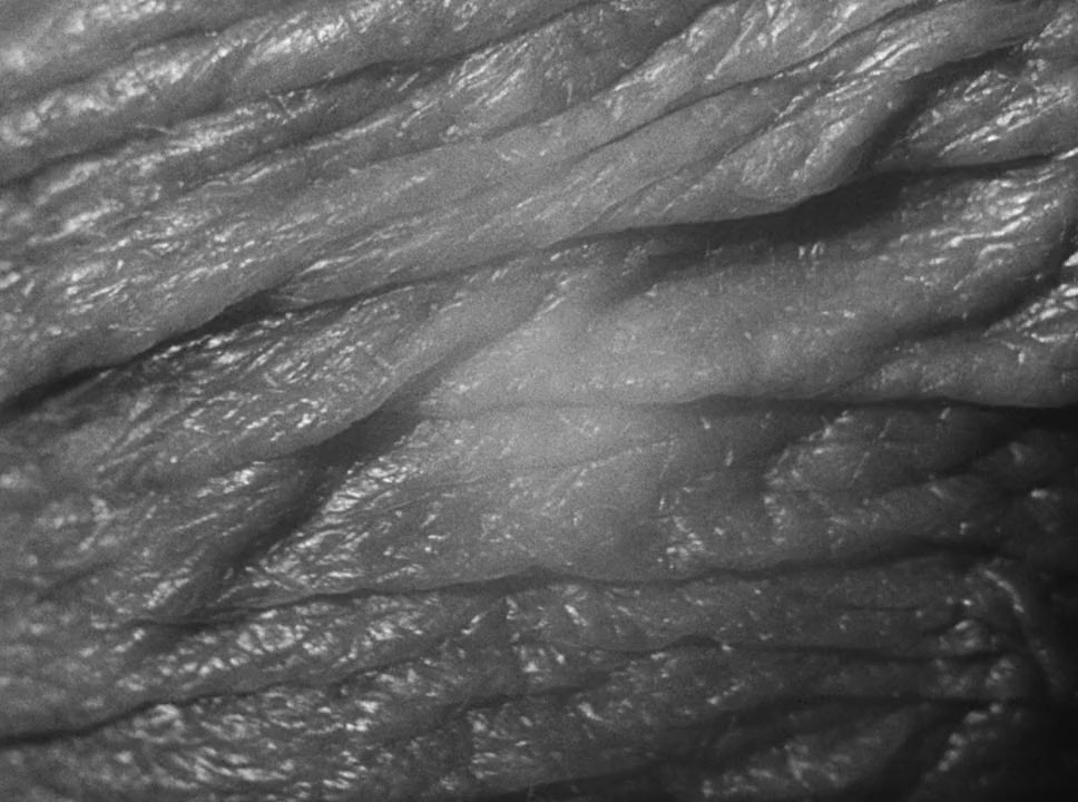 Film screenshot 3