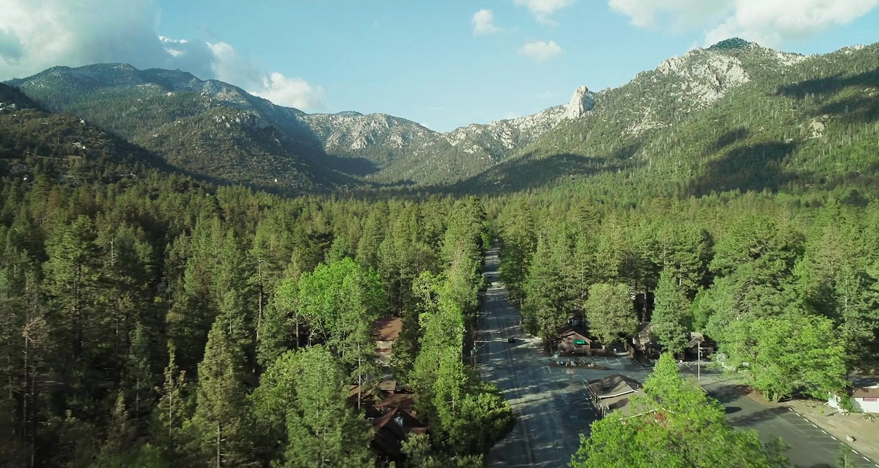 Film Fest screenshot 1