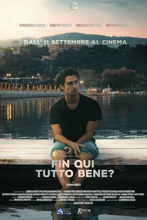 Fin qui tutto bene? (2025) poster