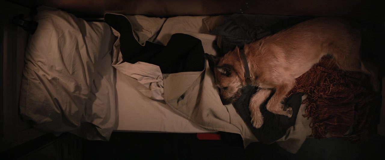 Finch screenshot 3