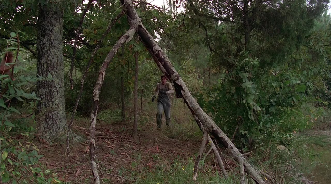 Final Chapter: Walking Tall screenshot 1
