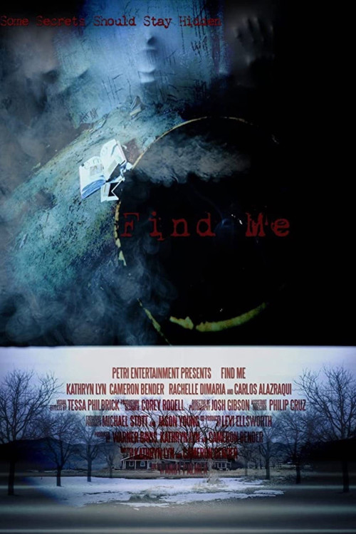 Find Me (2014) poster