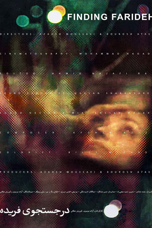 Finding Farideh (2018) poster