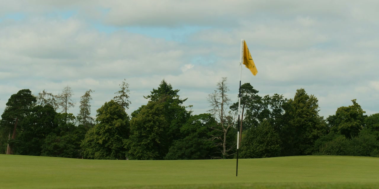 Finnegan's Foursome screenshot 3