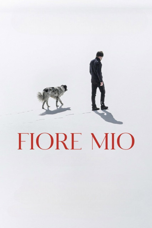 Fiore mio (2024) poster